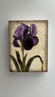 Sid Dickens Memory Block T-258 Iris Royal