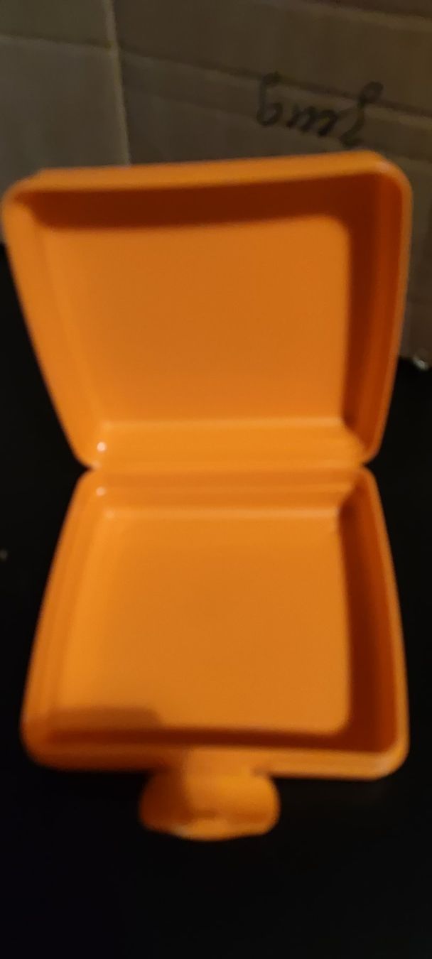 Tupperware Contenitori & Simili: Tupper Sandwichbox Afrika – Nuovo e nell'imballaggio originale da Schweizersholz venduto da fuchs06 2