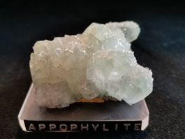 Kristall: Appophylite (Indien)/ auf Sockel/ grünlicher Ton