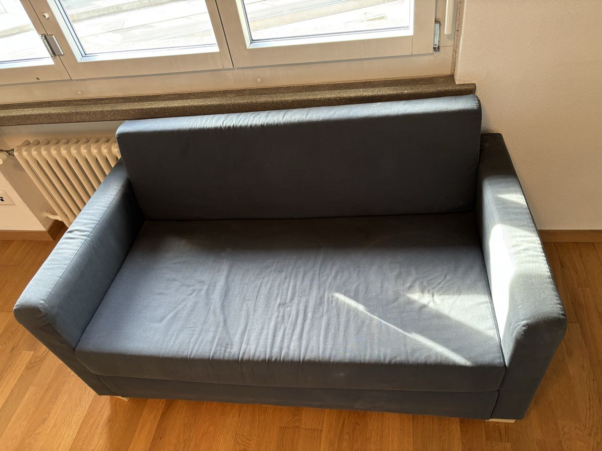 Divani: Divano letto grigio 2 posti – Usato da Zürich venduto da lau_57y5 1