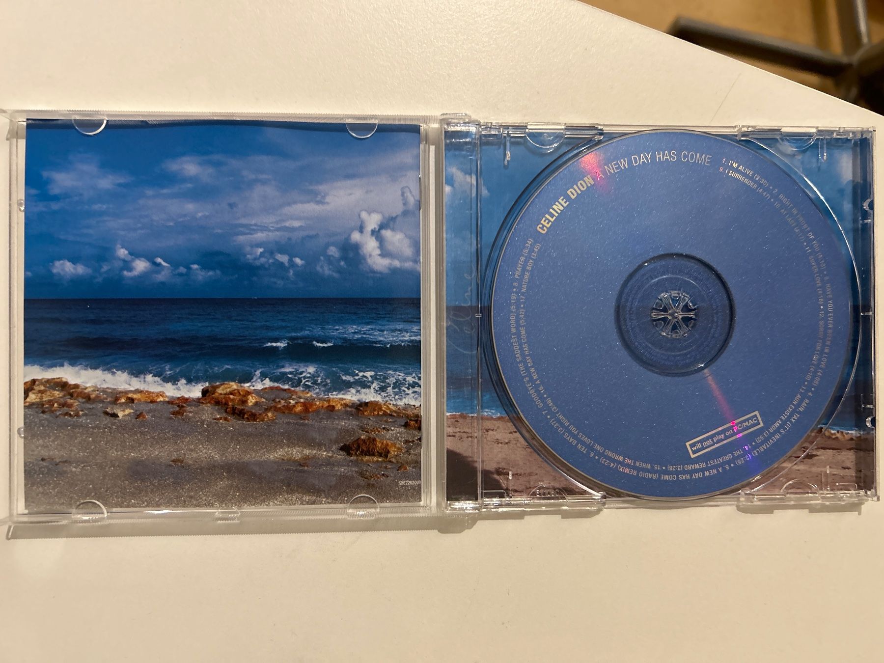 CD: CD- Celine Dion - A New Day Has Come – Usato da Guntershausen venduto da Gloominati 2