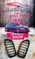 BMW F30 F31 F34 F35 Nieren 3 Serie M Kühlergrill Carbon Look