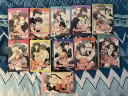 Junjou Romantica Band 1-11 (Shungiku Nakamura)