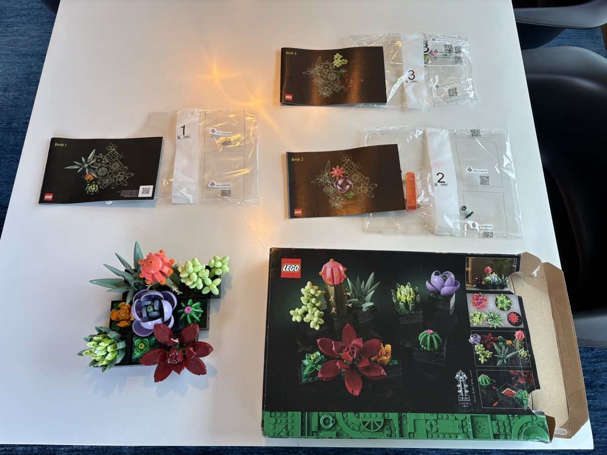 Lego Giocattoli: Lego botanical succulents / vollständig  – Usato da Zürich venduto da seb_8rsb 1