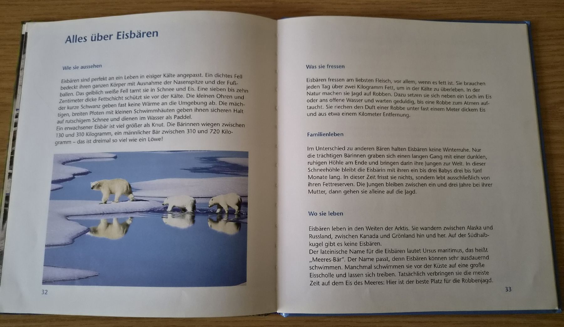 Bücher: Buch: Knut der kleine Eisbärenjunge – Gebraucht aus Urtenen-Schönbühl von Kahru 5