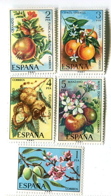 Tous les timbres: Briefmarken "Obst". Spanien. – Neuf avec emballage d'origine à Basel par Butsch5