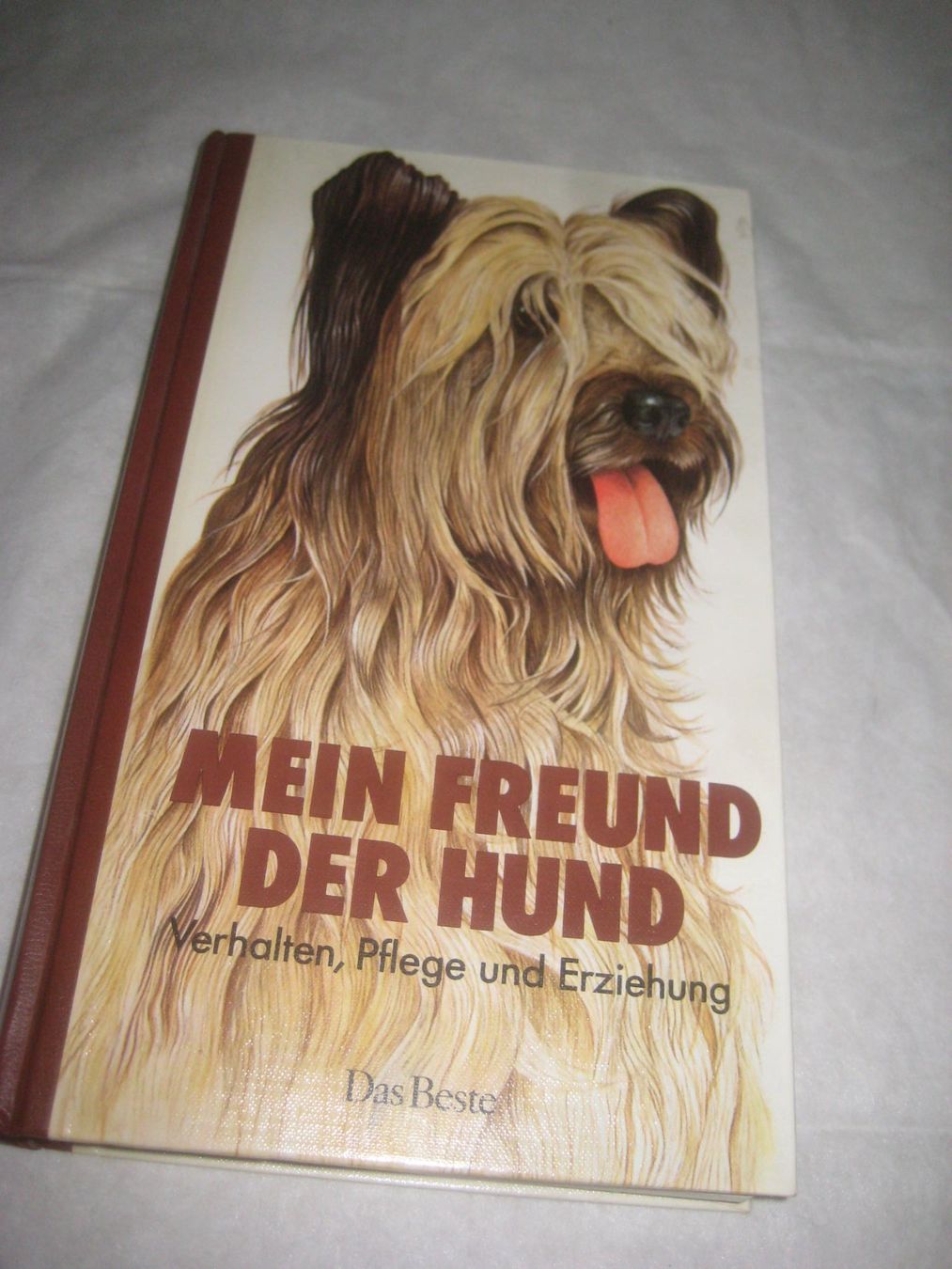 Bücher: HUNDE  BUCH – Gebraucht aus Uster von flocke1