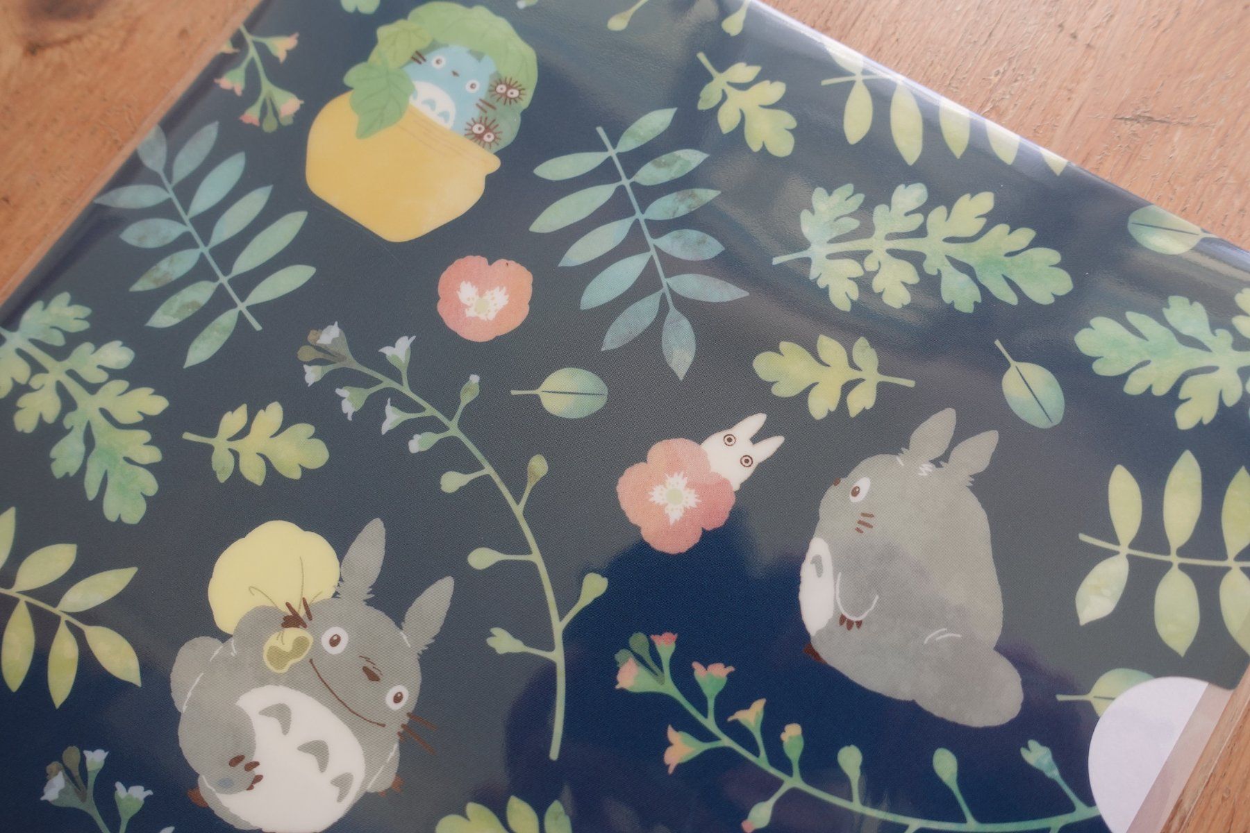 Valigie & Borse: Ghibli Totoro - Clear File Mäppli – Nuovo (secondo la descrizione) da Ettiswil venduto da maimaiswiss 1