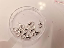 Karabinerverschluss 10 stück 10mm silber farbe(nr4)