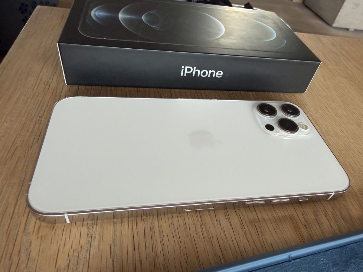 Apple Portables: iPhone 12 Pro Max, Silver, 256GB  – D'occasion à Richterswil par Noelle80 1