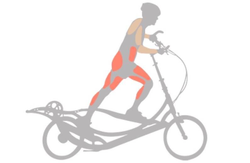 Biciclette: Elliptigo 8c avec accessoires / état de neuf – Nuovo (secondo la descrizione) da Sierre venduto da babibouchette01 2