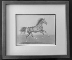 Pferd im Galopp, Original (Pencil Painting)