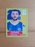 Panini WM 2026 BIH 6