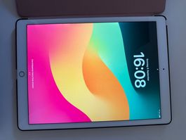 iPad Pro (12,9 Zoll 2. Generation) 256 GB