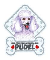 Hundeschild mit Saugn.PUDEL-HIER FAHREN
