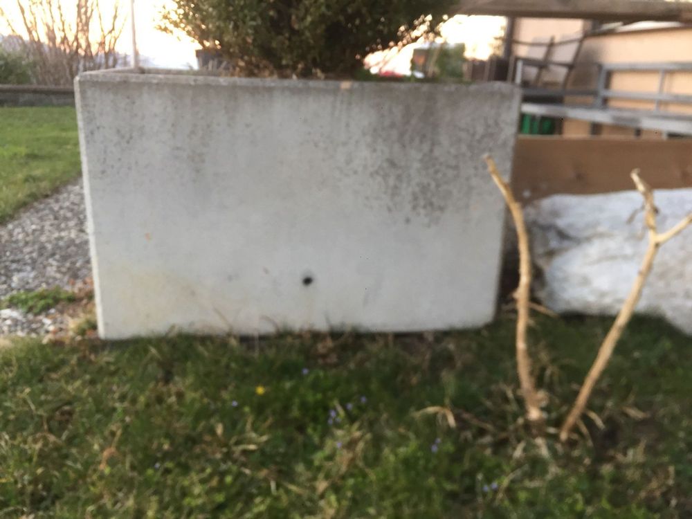Beton Kübel Kaufen auf Ricardo