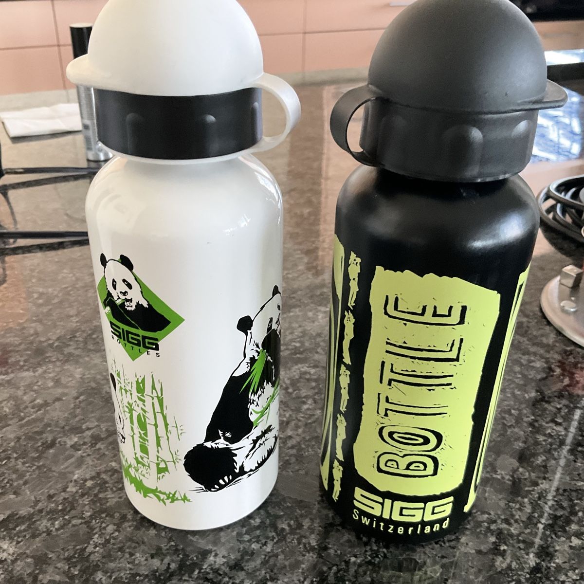 Sigg Borracce & Thermos: Bouteille SIGG isotherme – Usato da Murten venduto da Louis1954 1