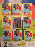 Panini Congo Set