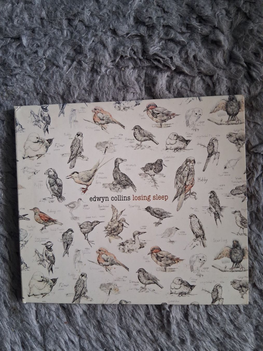 CD: EDWYN COLLINS     LOSING SLEEP     CD – Usato da Wetzikon ZH venduto da Ramones01