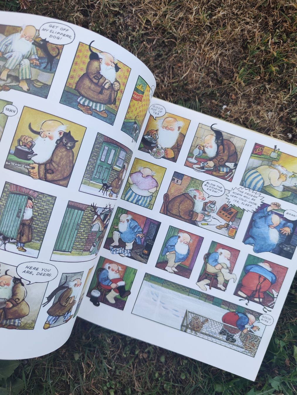 Bücher: The Complete Father Christmas Raymond Briggs Book – Gebraucht aus Mägenwil von VintageGirly 4