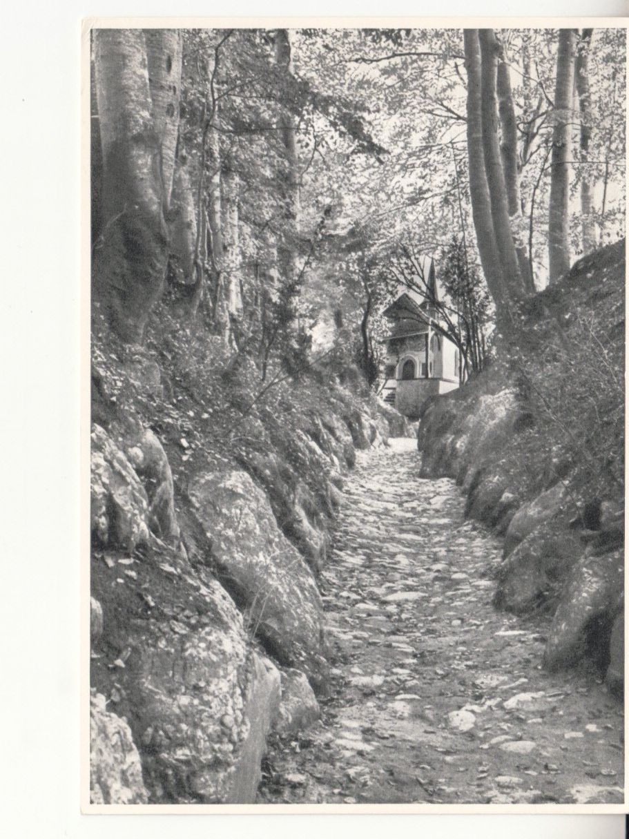 Cartoline postali: Hohle Gasse ca. 1950 – Usato da Bürglen TG venduto da StampGraf