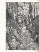 Hohle Gasse ca. 1950