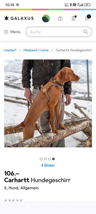 Carhartt Hunde Geschirr, robust und bequem, Grsse S (Neu (gemss  Beschreibung)) in St. Gallen fr CHF 25  mit Lieferung auf Ricardo kaufen