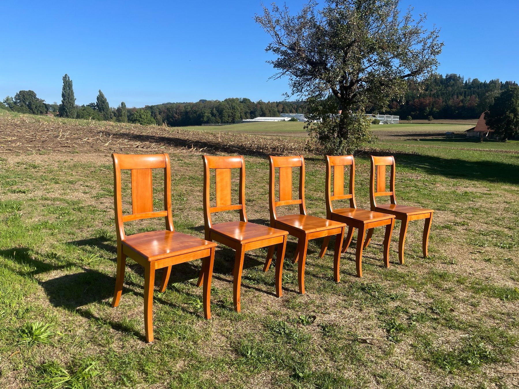 Stühle: 5 Stühle Nussbaum Massiv – Gebraucht aus Allmendingen b. BE von juair 5