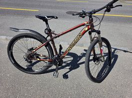 Canyon Mountainbike 