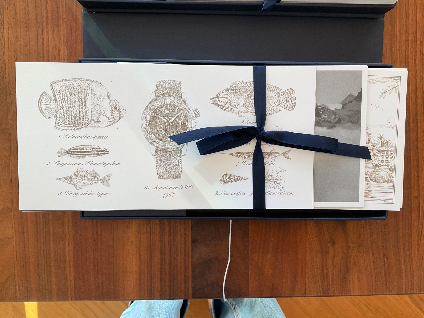 Cartoline: IWC Karten-Set – Nuovo e nell'imballaggio originale da Bern venduto da belle07 1