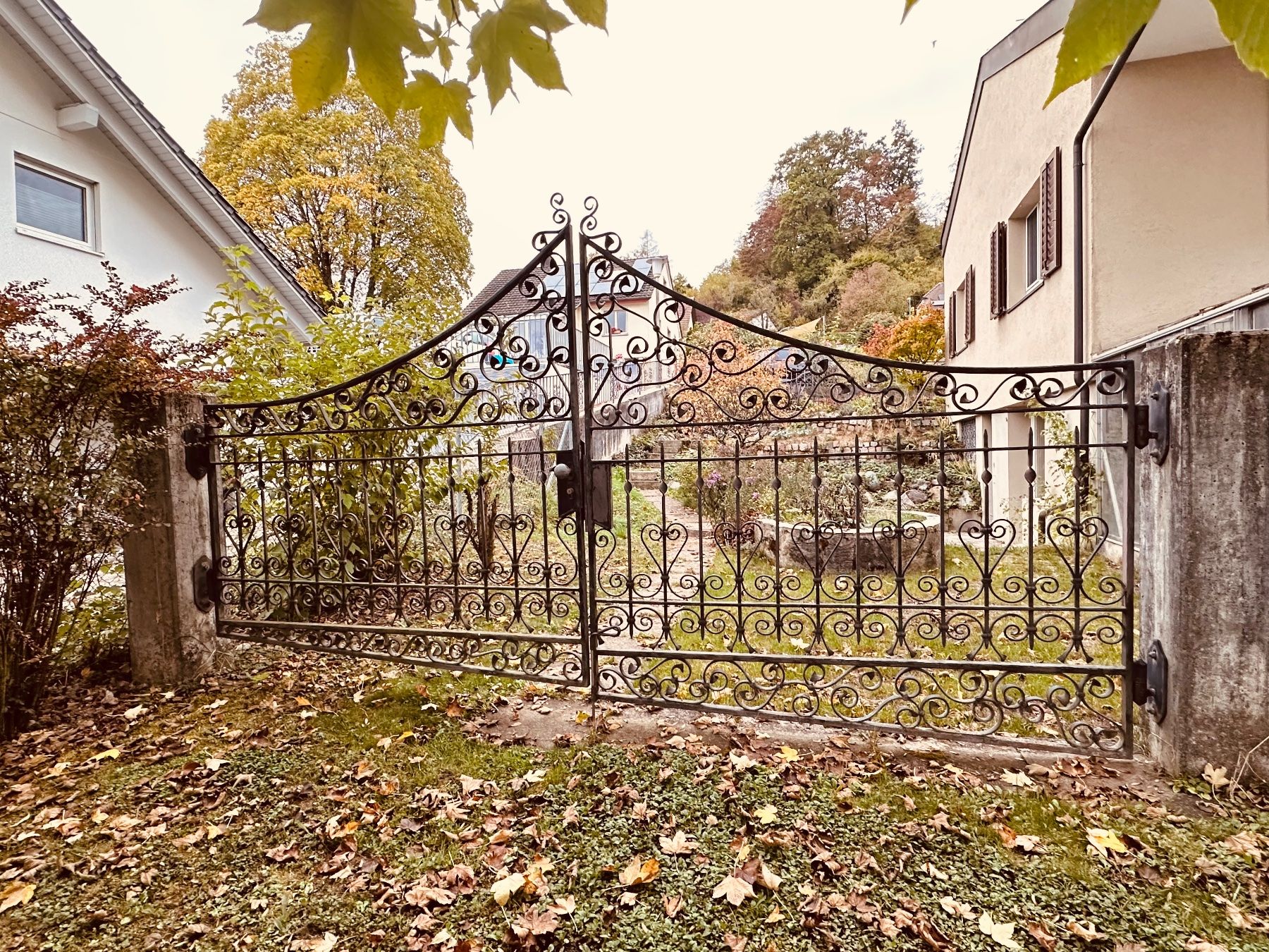 Porte: Eisentor, Handgeschmiedet – Usato da Wil / ZH venduto da matzrodt 1