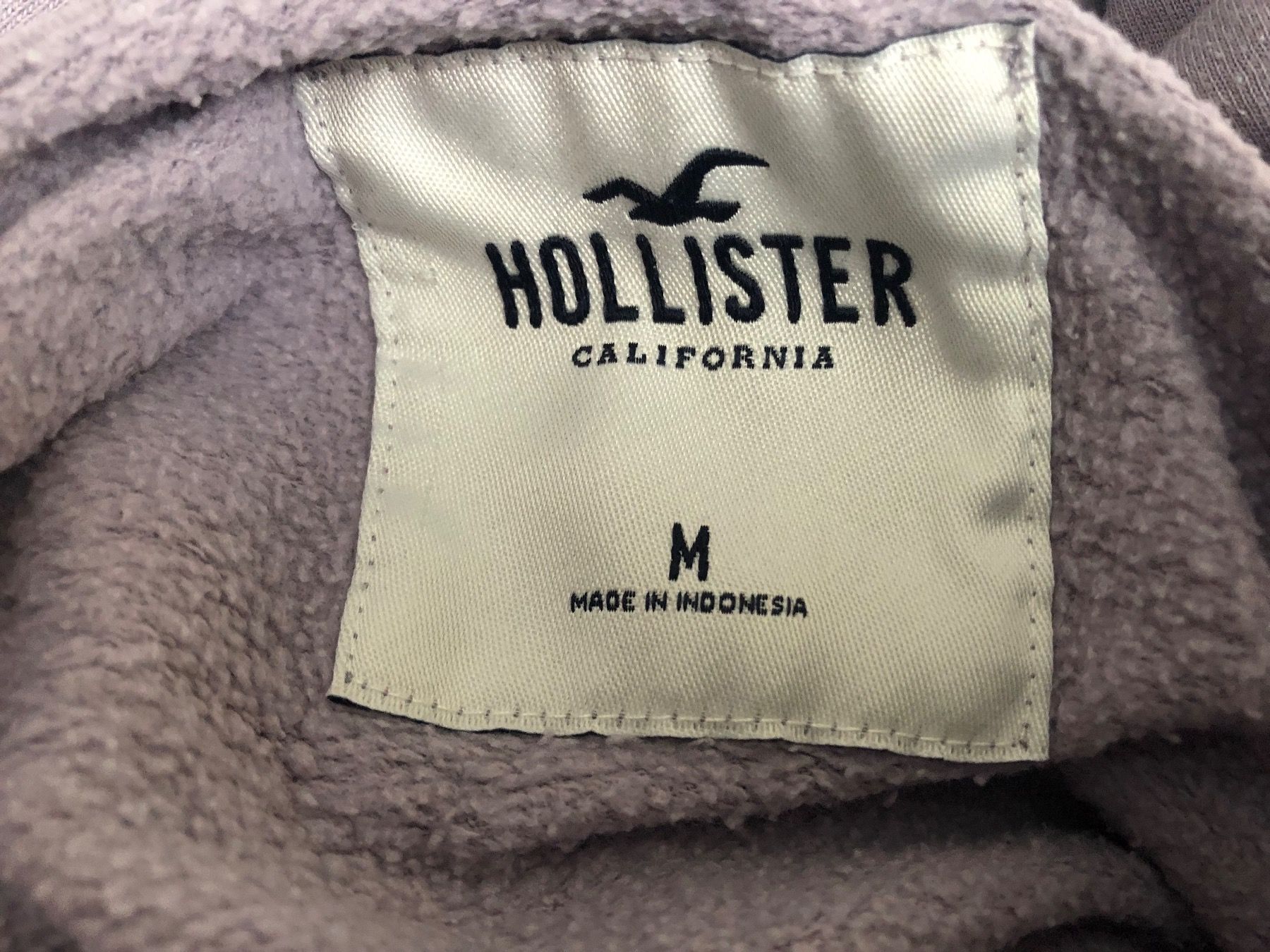 Hollister Maglioni & Felpe: Hoodie - Hollister - Grösse M – Usato da Oberuzwil venduto da Tomsi_9 2