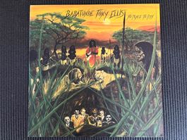 Babatunde Tony Ellis No Place To Run