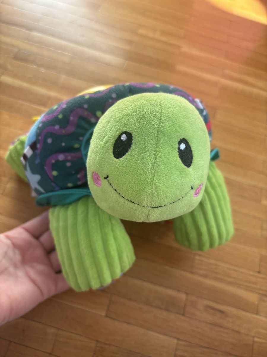 Vtech Giocattoli: Peluche interactive TORTUE CACHE CACHE  - V tech – Nuovo (secondo la descrizione) da Chêne-Bougeries venduto da CeliaMate 3