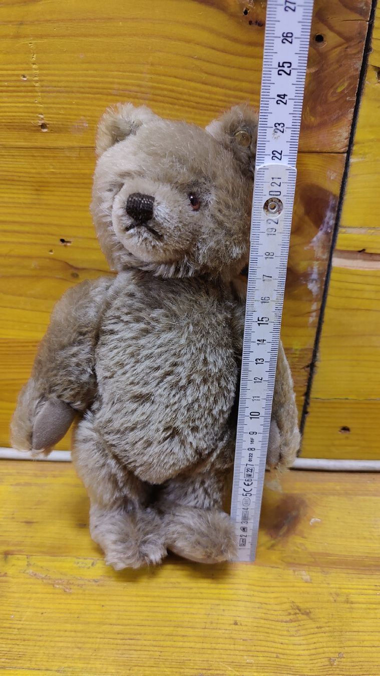 Steiff Giocattoli: Antiker Steiff Teddy, Teddybär (L10) – Usato da Neuenhof venduto da SchnaeppliAllerlei 7