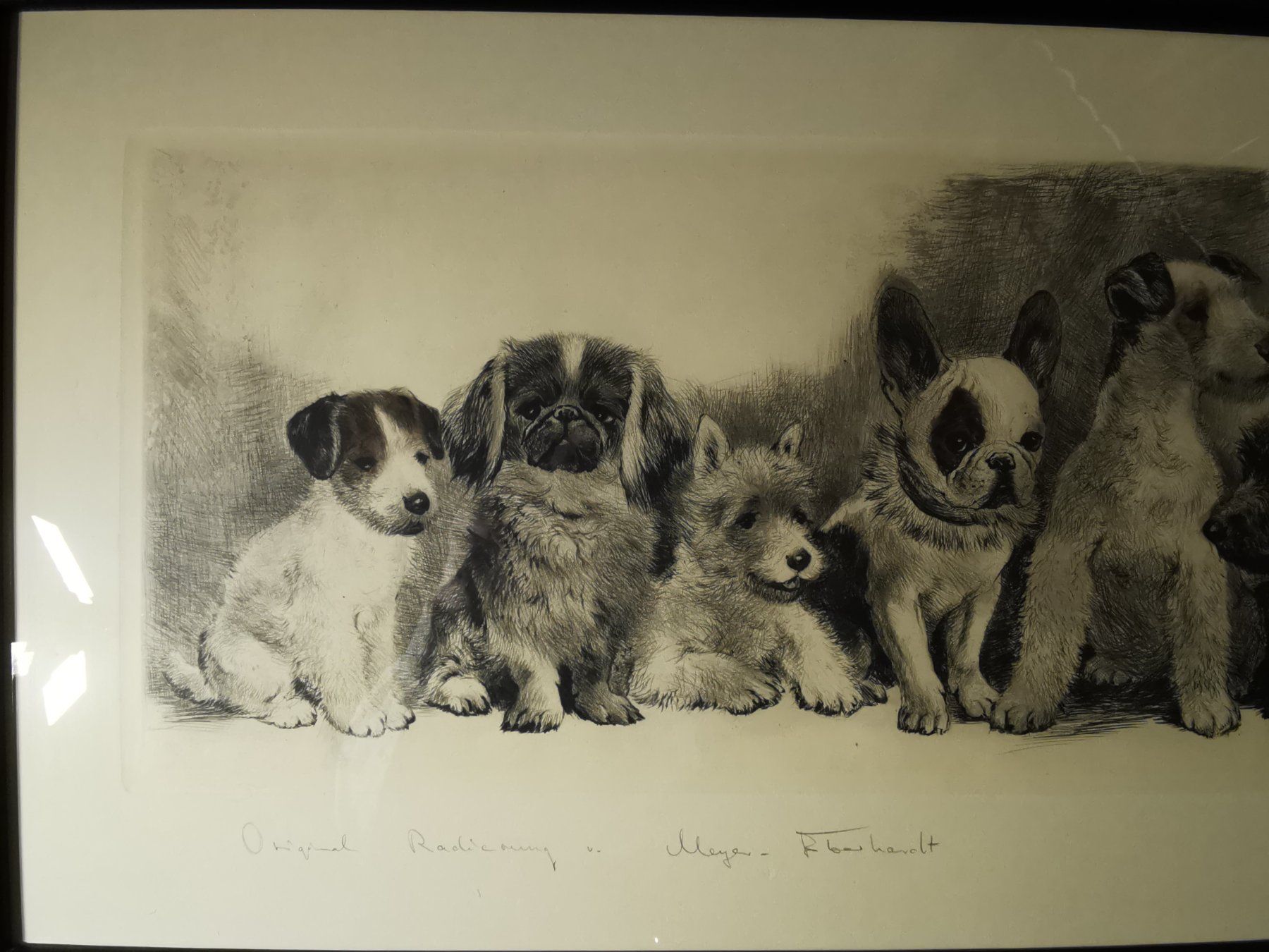 Grafica & Litografie: Hundewelpen, Original-Radierung von Kurt Meyer-Eberhardt – Usato da Dübendorf venduto da aschiduebendorf 5