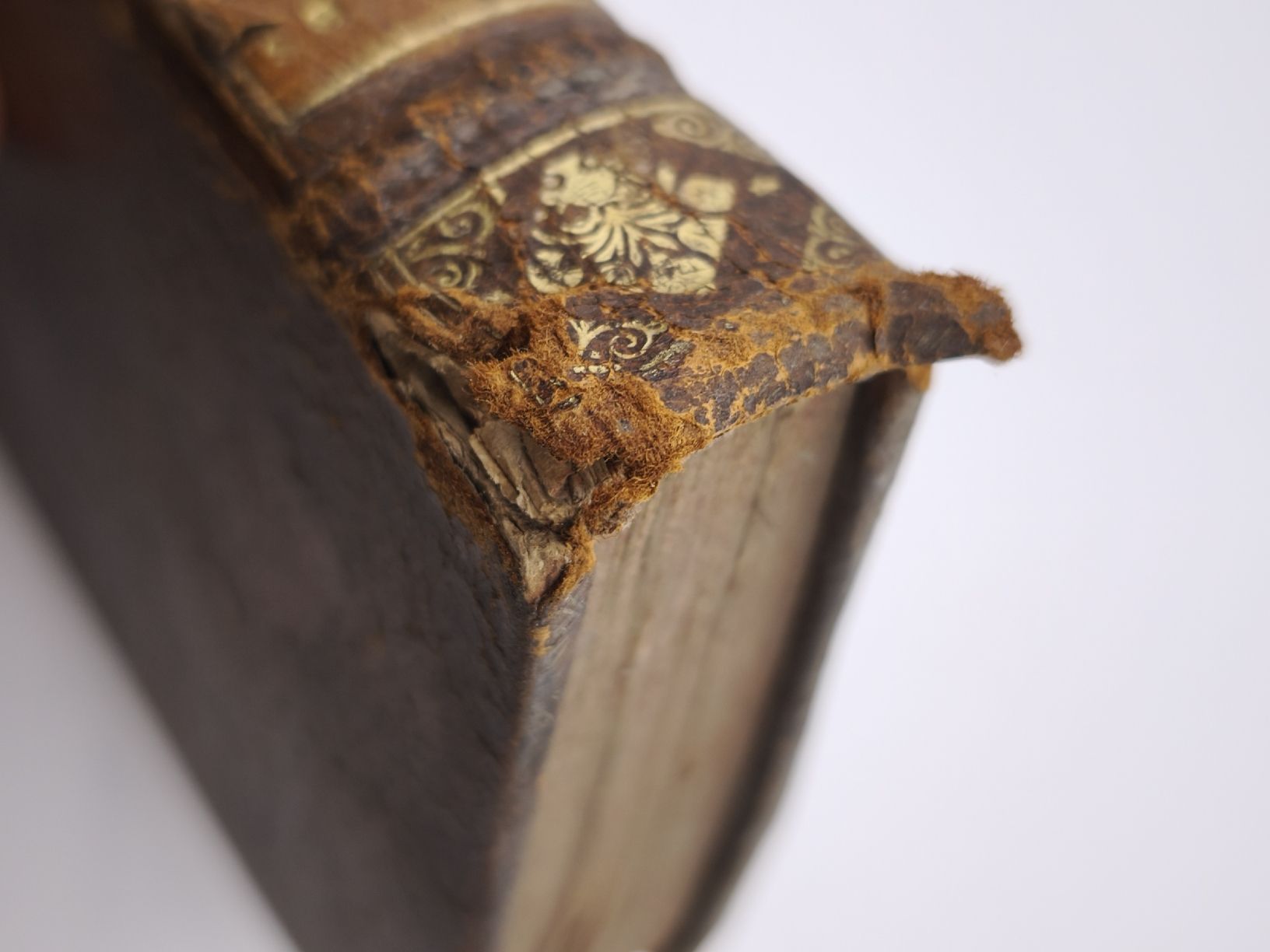 Libri: LES VIES DES HOMMES – Usato da Goldach venduto da Gaip 9