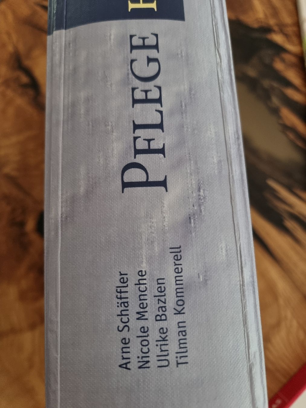 Libri: Pflege heute Lehrbuch – Usato da Münchwilen AG venduto da lum_m5yg 1