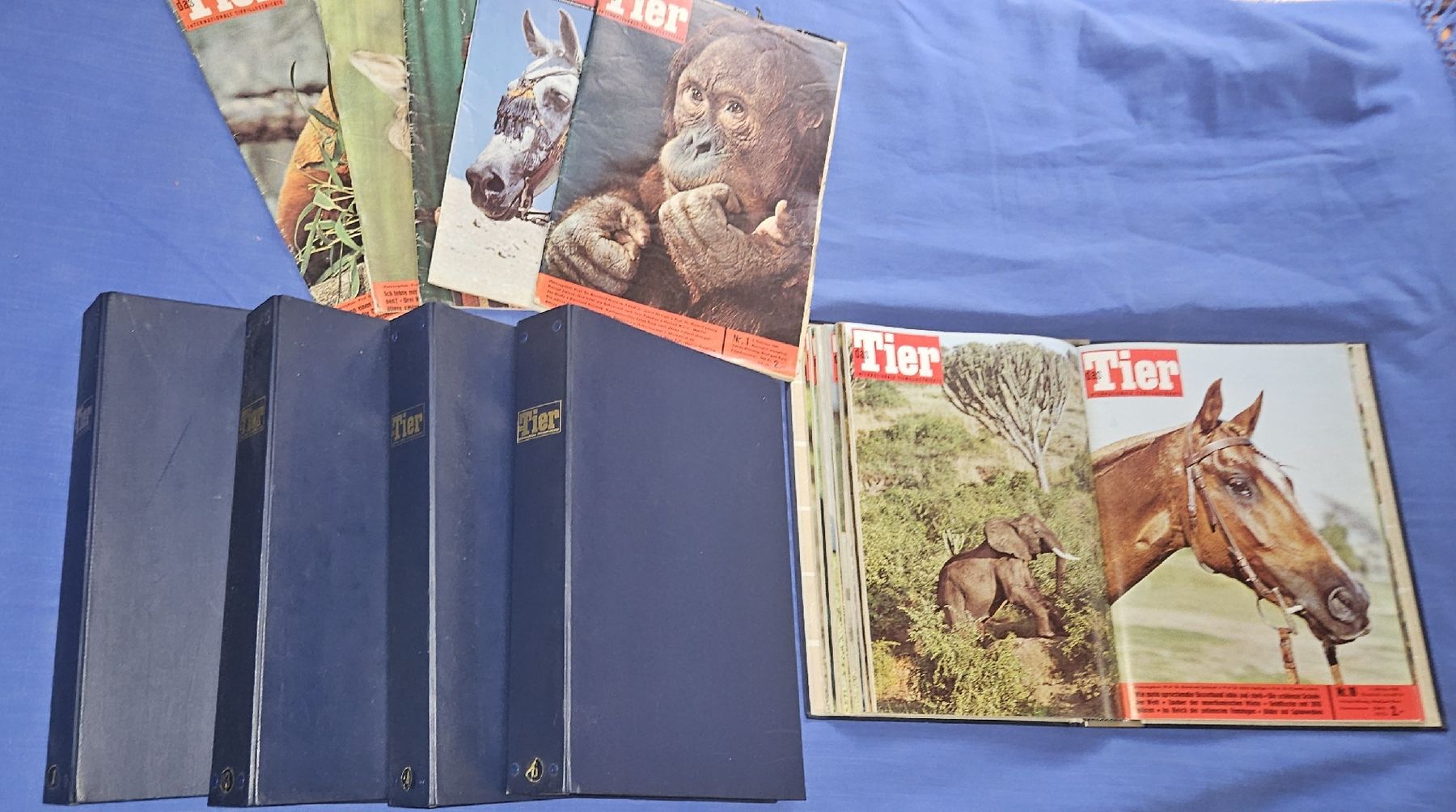 Riviste & Magazine: Zeitschriftensammlung "Das Tier" , 5 Hefte +  5 Ordner – Usato da Kaltacker venduto da Cougar01