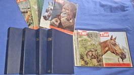 Zeitschriftensammlung "Das Tier" , 5 Hefte +  5 Ordner
