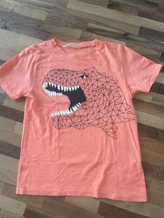Kinder T-Shirt Grösse 134/140 Dino Print H&M