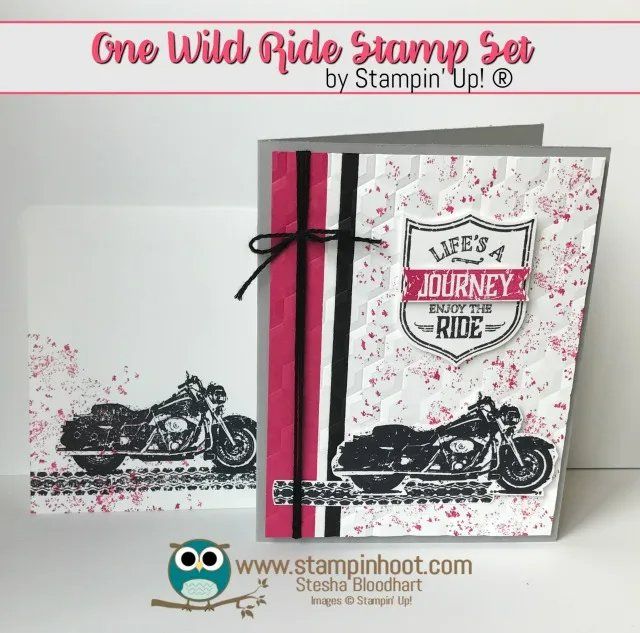 Stampin' up! Timbri: Stempelset von Stampin up "One wild ride" – Usato da Frauenkappelen venduto da evangelina78 2
