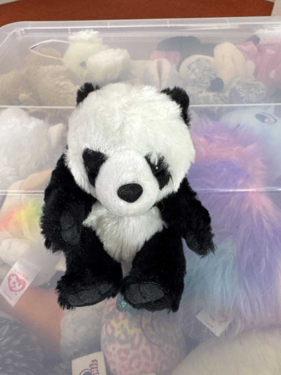 Giocattoli: Folkmanis Puppets Panda – Nuovo (secondo la descrizione) da Wald ZH venduto da evelyne.street