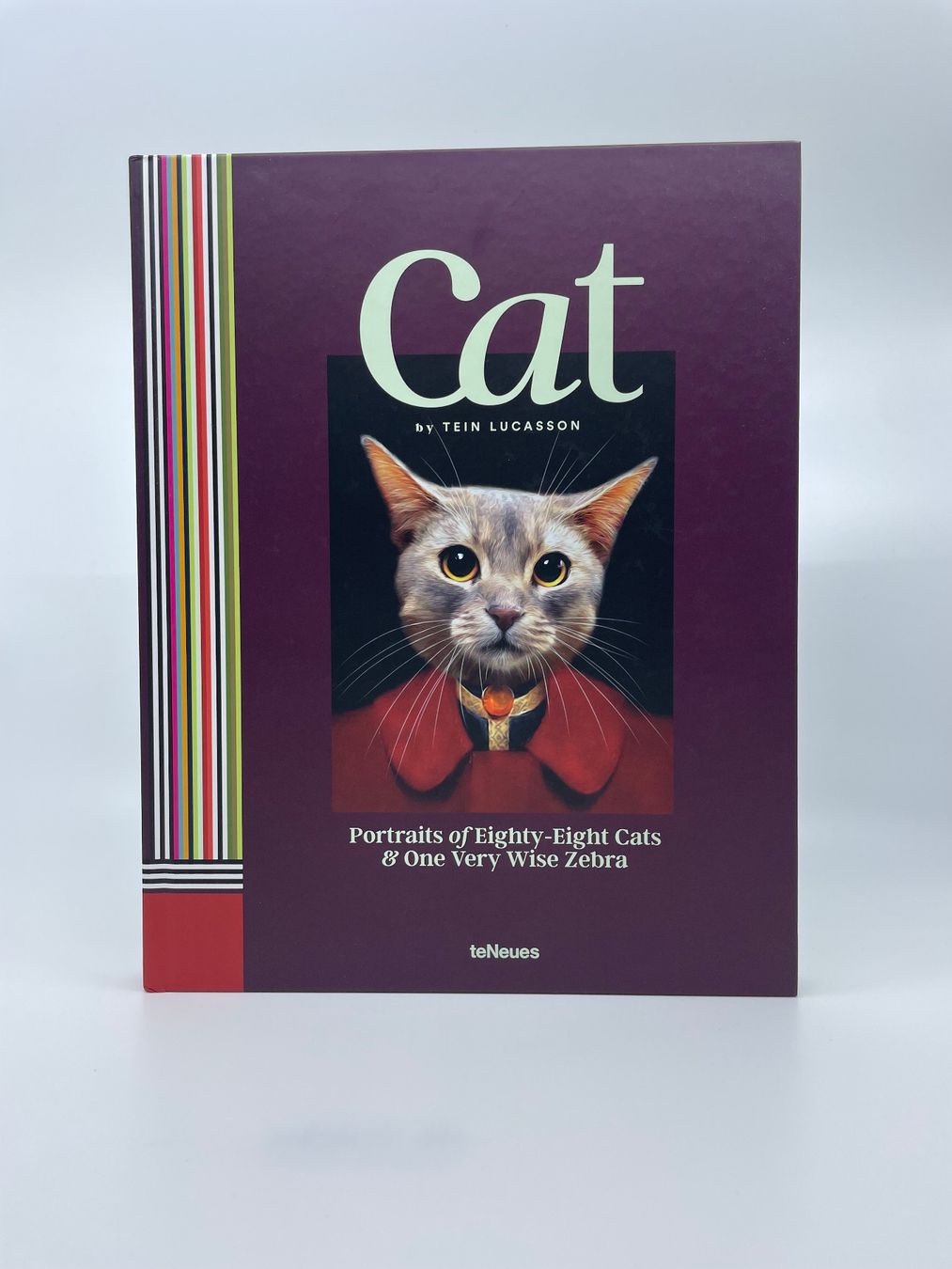 Libri: CAT - by Tein Lucasson – Nuovo (secondo la descrizione) da Pfeffingen venduto da Paco1991