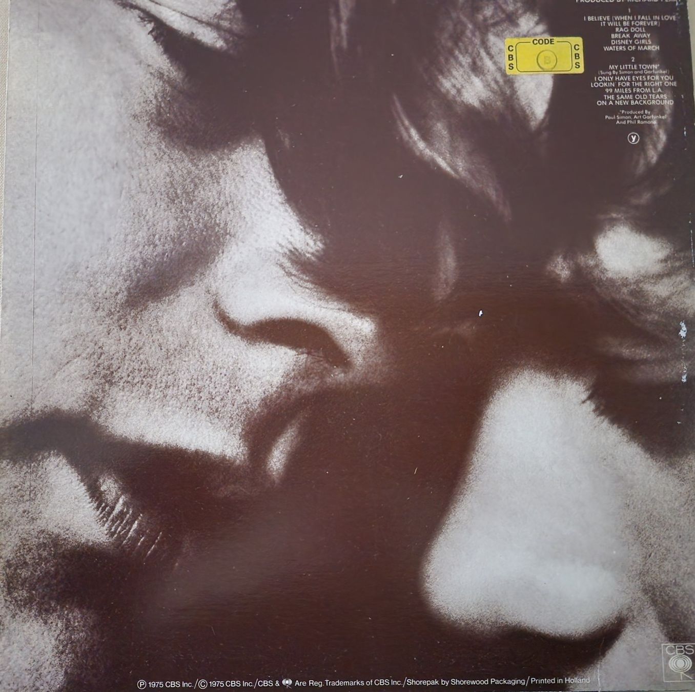 Dischi in vinile: Art Garfunkel LP – Breakaway – Usato da Root venduto da atelier22 1