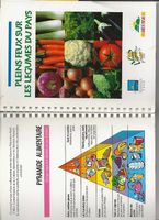 Guides - diverses publications pour usage quotidiens