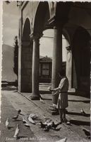 Locarno, Tauben, 1937