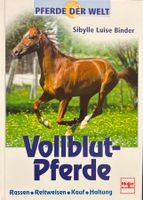 Vollblut-Pferde