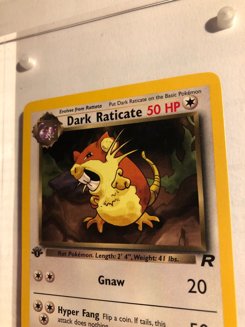Carte collezionabili: Dark Raticate 1st Team Rocket - MINT - ab 1.- – Usato da Giubiasco venduto da dan_pr8b 3