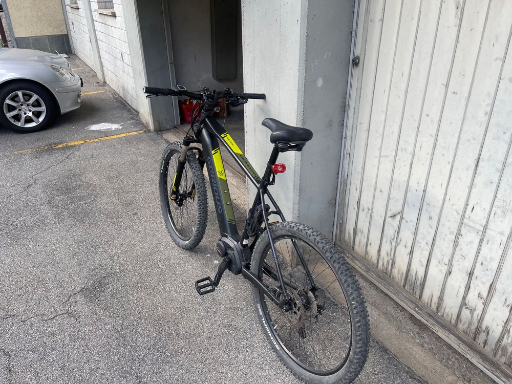 Serious bear rock e bike hot sale